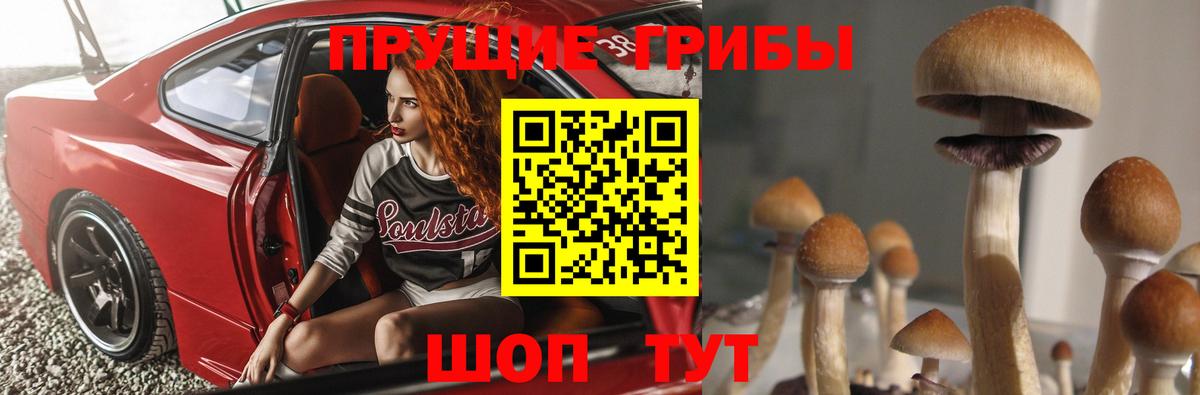 Галлюциногенные грибы прущие грибы  Вход с VPN  Сердобск  Псилоцибиновые грибы Cubensis 